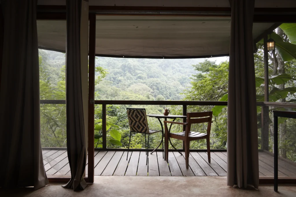 CARACOL - jorge peña_resultado