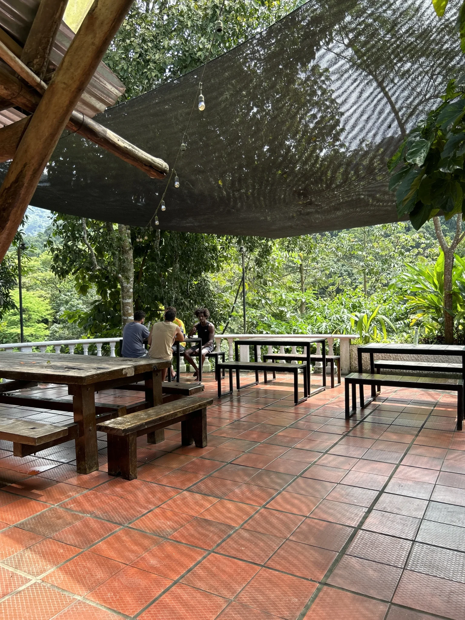 image - Sofia Sierra_resultado